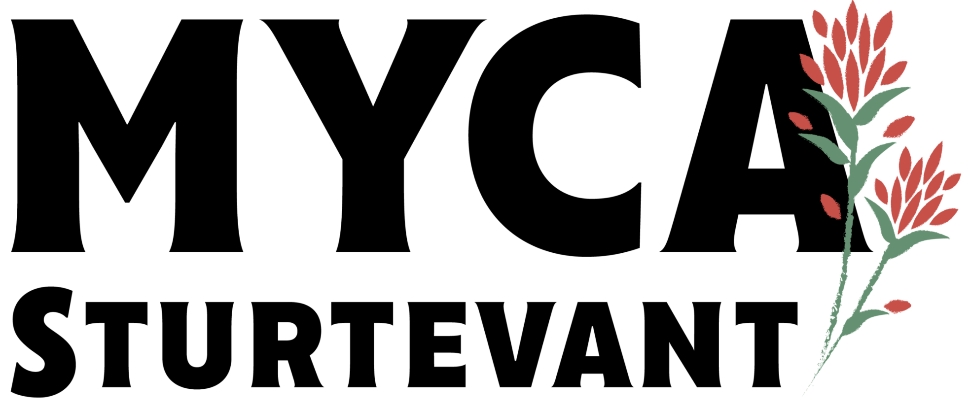 Black Logo Transparent (3654 x 2000 px)